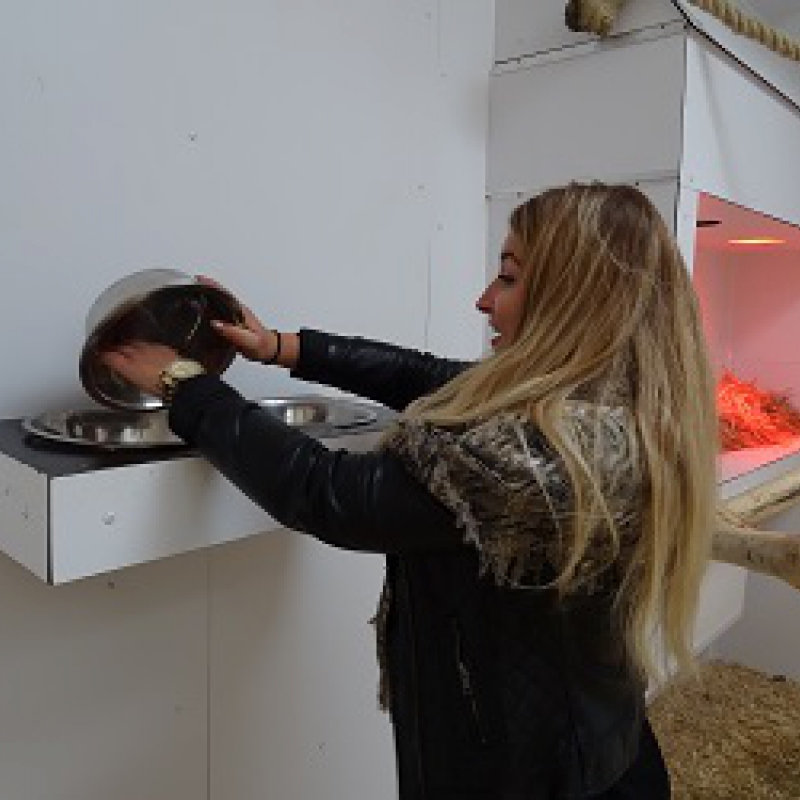 Animal caretaker for a day - De Zonnegloed - Animal park - Animal refuge centre Animal caretaker for a day - De Zonnegloed - Animal park - Animal refuge centre