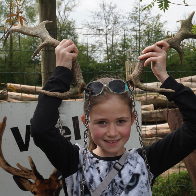 Sortie scolaire - De Zonnegloed - Refuge pour animaux Sortie scolaire - De Zonnegloed - Refuge pour animaux