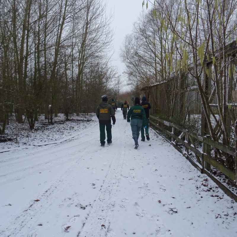 Parkeerwachter - De Zonnegloed - Dierenpark - Dieren opvangcentrum - Sanctuary