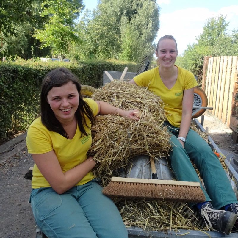 Stage - De Zonnegloed - Dierenpark - Dieren opvangcentrum - Sanctuary