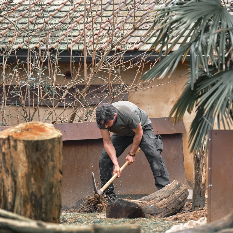 Stage onderhoud & techniek - De Zonnegloed - Dierenpark - Dieren opvangcentrum - Sanctuary
