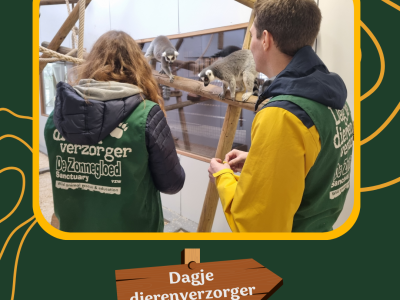 Dagje als dierenverzorger in de kijker