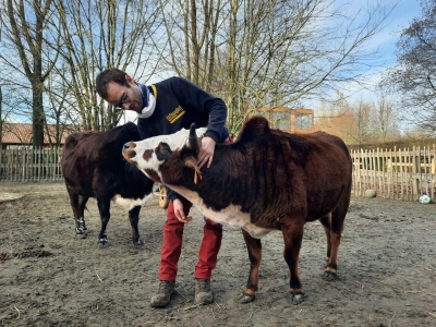 De waarde van vrijwilligerswerk