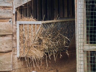 De Zonnegloed: Een veilige haven voor uitheemse wilde dieren in nood