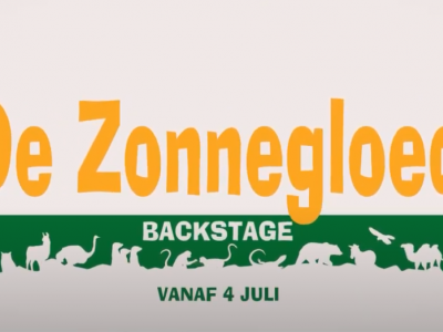 De Zonnegloed op Plattelands TV