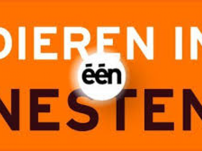 Dieren in nesten bezocht De Zonnegloed 
