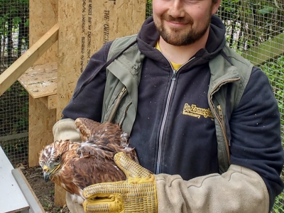 Erkende voorpost wilde inheemse dieren