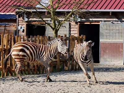 Fotowedstrijd mei '22