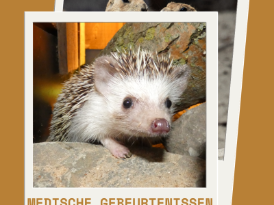 Medische gebeurtenissen Februari 2024