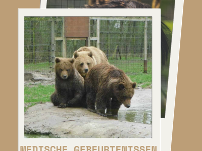 Medische gebeurtenissen Mei 2024